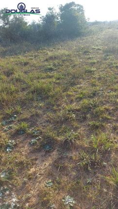 Imagem Terreno à Venda, em Viamão Imagem Terreno à Venda, em Viamão