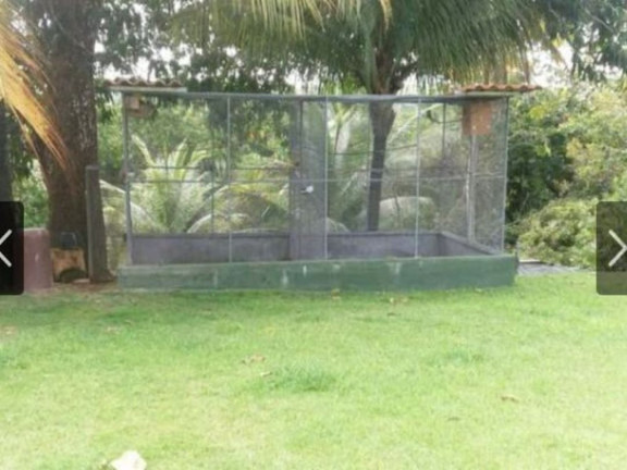 Imagem Chácara com 3 Quartos à Venda, 5.000 m² em Quingoma - Lauro De Freitas