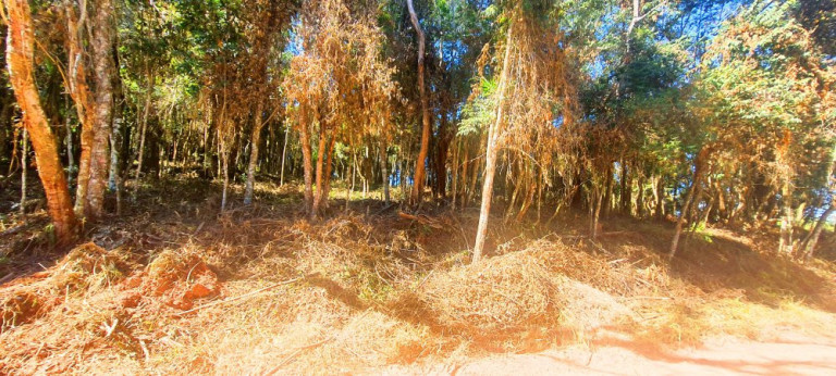 Imagem Imóvel à Venda, 700 m² em Recanto Dos Palmares - Atibaia Imagem Imóvel à Venda, 700 m² em Recanto Dos Palmares - Atibaia