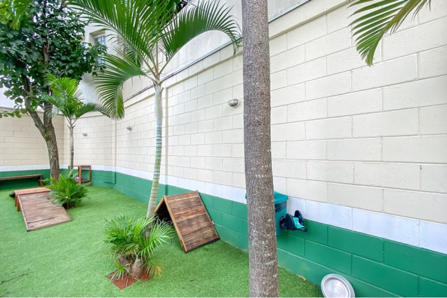Imagem Apartamento com 3 Quartos à Venda, 84 m² em Vila Mafra - São Paulo Imagem Apartamento com 3 Quartos à Venda, 84 m² em Vila Mafra - São Paulo