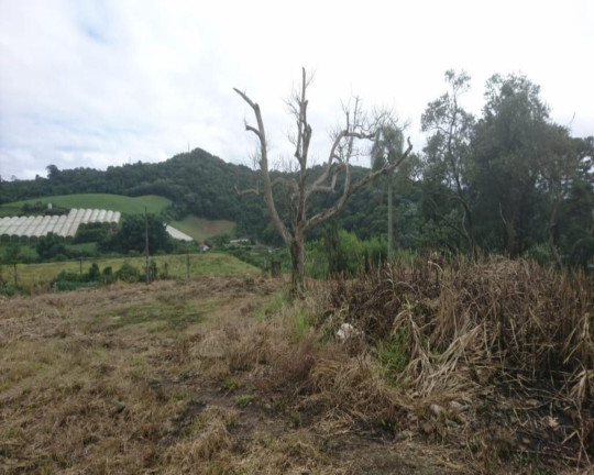 Imagem Terreno à Venda, 12.750 m² em Potuverá - Itapecerica Da Serra Imagem Terreno à Venda, 12.750 m² em Potuverá - Itapecerica Da Serra
