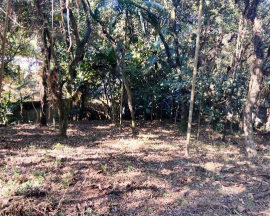 Imagem Terreno à Venda, 2.334 m² em Granja Viana - Cotia Imagem Terreno à Venda, 2.334 m² em Granja Viana - Cotia