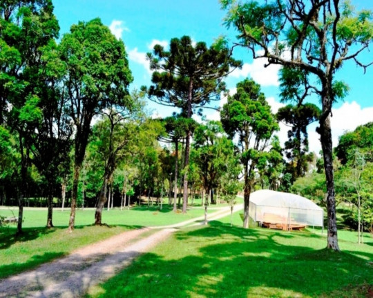 Imagem Imóvel à Venda, 18.380 m² em Logradouro - Nova Petrópolis