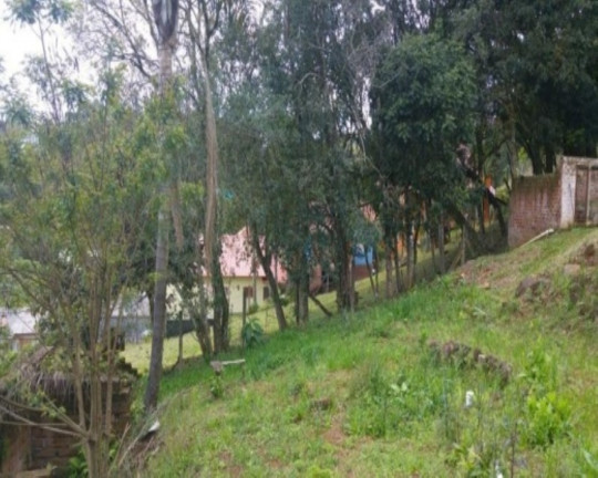 Imagem Casa com 2 Quartos à Venda, 56 m² em Bela Vista - Nova Petrópolis