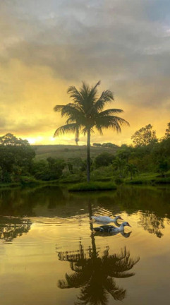 Imagem Chácara com 4 Quartos à Venda, 60.000 m²