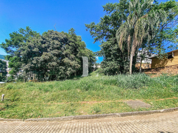 Imagem Terreno à Venda, 700 m² em Córrego Grande - Florianópolis Imagem Terreno à Venda, 700 m² em Córrego Grande - Florianópolis