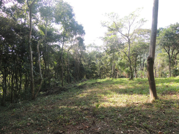 Imagem Terreno à Venda, 20.000 m² em Macacu - Garopaba Imagem Terreno à Venda, 20.000 m² em Macacu - Garopaba