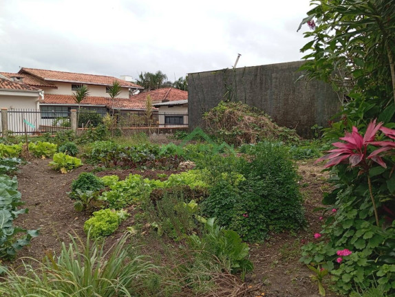 Imagem Casa com 3 Quartos à Venda, 822 m² em Centro - Balneário Barra Do Sul