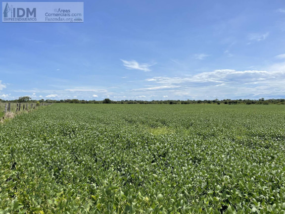 Imagem Chácara à Venda, 18.800.000 m² em Centro - Formoso Do Araguaia Imagem Chácara à Venda, 18.800.000 m² em Centro - Formoso Do Araguaia