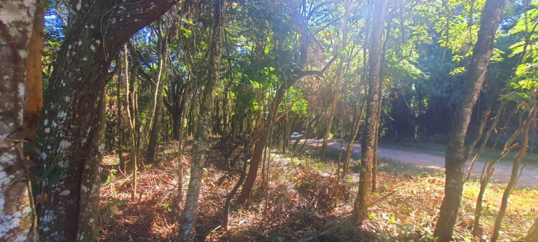 Imagem Imóvel à Venda, 700 m² em Recanto Dos Palmares - Atibaia Imagem Imóvel à Venda, 700 m² em Recanto Dos Palmares - Atibaia