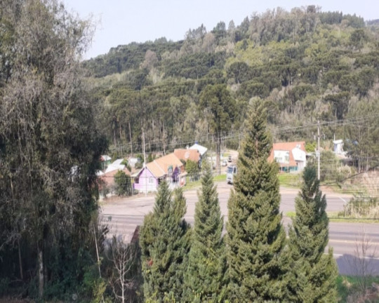 Imagem Imóvel com 4 Quartos à Venda,  em Linha Imperial - Nova Petrópolis