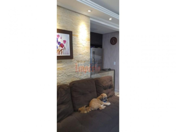 Imagem Apartamento com 2 Quartos à Venda, 48 m² em Parque São Vicente - Mauá Imagem Apartamento com 2 Quartos à Venda, 48 m² em Parque São Vicente - Mauá