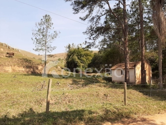 Imagem Chácara com 3 Quartos à Venda, 200 m² em Sao Germano - Paraibuna Imagem Chácara com 3 Quartos à Venda, 200 m² em Sao Germano - Paraibuna