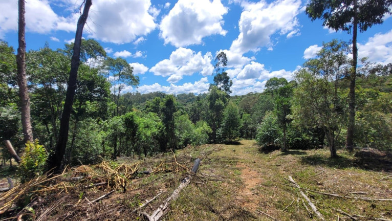 Imagem Fazenda à Venda,  em Imbuial - Campina Grande Do Sul