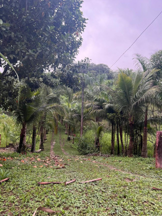 Imagem Chácara com 3 Quartos à Venda, 348.600 m² em Centro - Juquiá Imagem Chácara com 3 Quartos à Venda, 348.600 m² em Centro - Juquiá