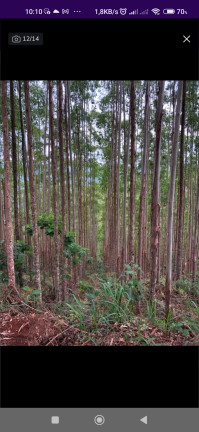 Imagem Chácara com 1 Quarto à Venda, 202.554 m² em Roncador - São José Dos Campos Imagem Chácara com 1 Quarto à Venda, 202.554 m² em Roncador - São José Dos Campos