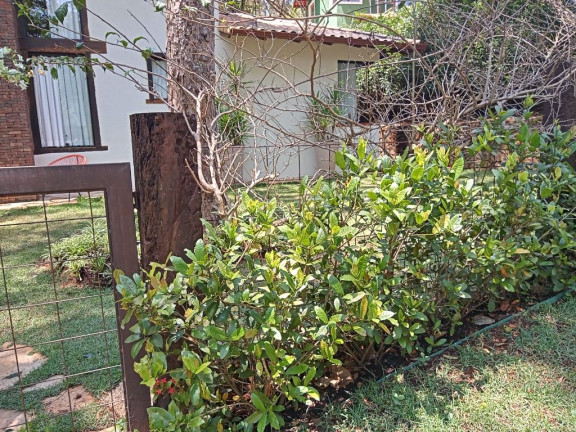 Imagem Casa de Condomínio com 3 Quartos à Venda, 350 m² em Condominio Jardins - Brumadinho Imagem Casa de Condomínio com 3 Quartos à Venda, 350 m² em Condominio Jardins - Brumadinho