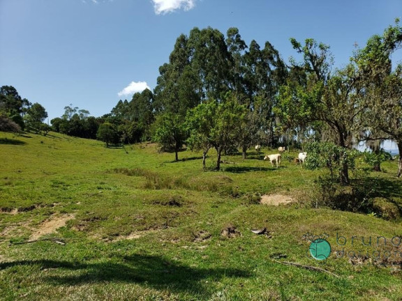 Imagem Imóvel à Venda, em Zona Rural - Bom Retiro Imagem Imóvel à Venda, em Zona Rural - Bom Retiro