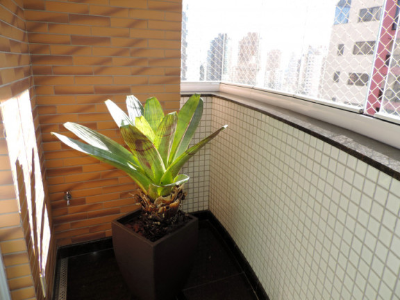 Imagem Apartamento com 4 Quartos à Venda, 258 m² em Jardim Anália Franco - São Paulo Imagem Apartamento com 4 Quartos à Venda, 258 m² em Jardim Anália Franco - São Paulo