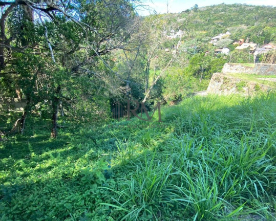Imagem Terreno à Venda, 775 m² em Córrego Grande - Florianópolis Imagem Terreno à Venda, 775 m² em Córrego Grande - Florianópolis