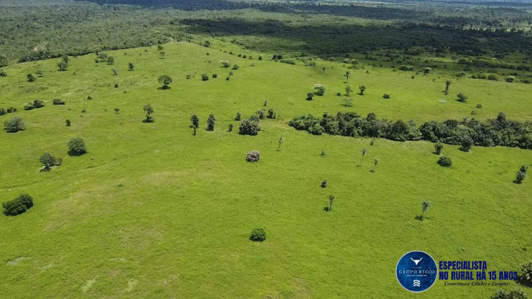 Imagem Fazenda à Venda, 456 m² em Zona Rural - Ananás Imagem Fazenda à Venda, 456 m² em Zona Rural - Ananás