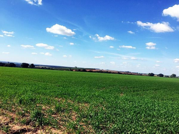 Imagem Fazenda à Venda, 105 m² em Rural - Avaré Imagem Fazenda à Venda, 105 m² em Rural - Avaré