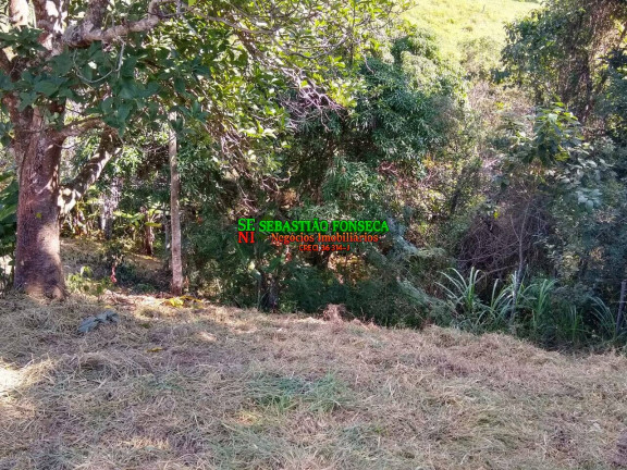 Imagem Chácara à Venda, 1.800 m² em Paraibuna