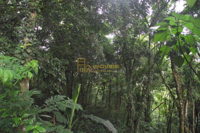 Imagem Terreno à Venda, 2.358 m² em Parque Alvorada - Santana De Parnaíba Imagem Terreno à Venda, 2.358 m² em Parque Alvorada - Santana De Parnaíba