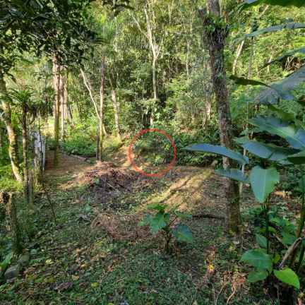 Imagem Terreno à Venda, 400 m² em Boiçucanga - São Sebastião Imagem Terreno à Venda, 400 m² em Boiçucanga - São Sebastião