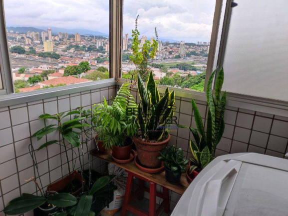Apartamento com 2 Quartos à Venda, 59 m² em Vila Jaguara - São Paulo