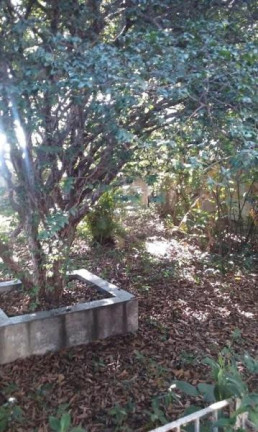 Imagem Casa com 3 Quartos à Venda, 185 m² em Centro - Taubaté