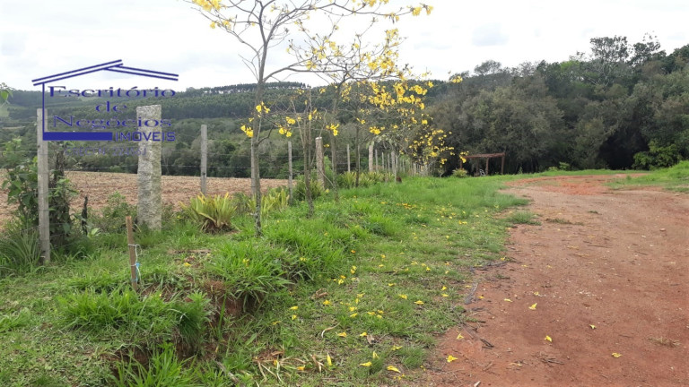 Imagem Imóvel com 3 Quartos à Venda, 120 m² em Cerro Chato - Sentinela Do Sul