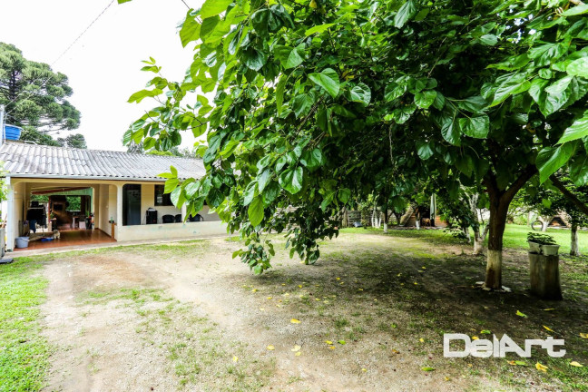 Imagem Chácara com 5 Quartos à Venda, 220 m² em Campina Dos Andrade - Rio Negro Imagem Chácara com 5 Quartos à Venda, 220 m² em Campina Dos Andrade - Rio Negro