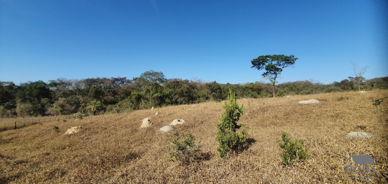 Imagem Terreno à Venda, 25.000 m² em Campo Alegre - Esmeraldas Imagem Terreno à Venda, 25.000 m² em Campo Alegre - Esmeraldas