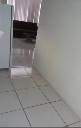 Imagem Apartamento com 6 Quartos à Venda, 295 m² em Ipiranga - São José