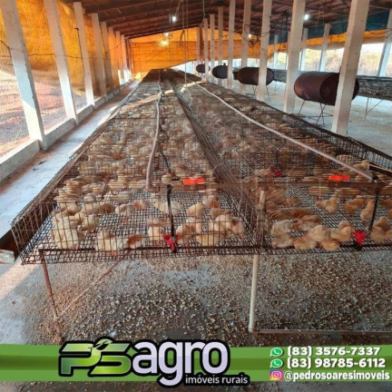 Imagem Fazenda à Venda, 700 m² em Ponta Do Seixas - João Pessoa Imagem Fazenda à Venda, 700 m² em Ponta Do Seixas - João Pessoa