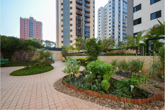 Imagem Apartamento com 3 Quartos à Venda, 97 m² em Vila Clementino - São Paulo
