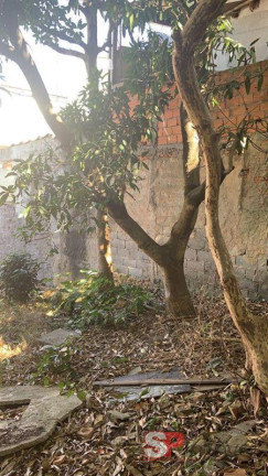 Imóvel com 1 Quarto à Venda, 246 m² em Jardim Penha - São Paulo