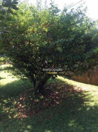 Imagem Terreno à Venda, 3.000 m² em Boa Vista - Santa Isabel Imagem Terreno à Venda, 3.000 m² em Boa Vista - Santa Isabel