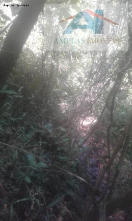 Fazenda à Venda, 37 m² em Mateus Leme - Mateus Leme