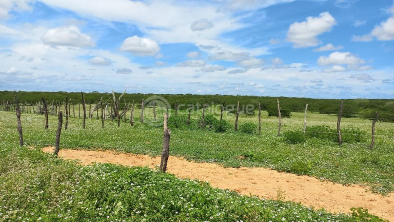 Fazenda à Venda, 3.000.000 m² em Rural - Jandaíra