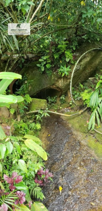 Imagem Chácara com 3 Quartos à Venda, 6.000 m² em Sorocamirim - São Roque