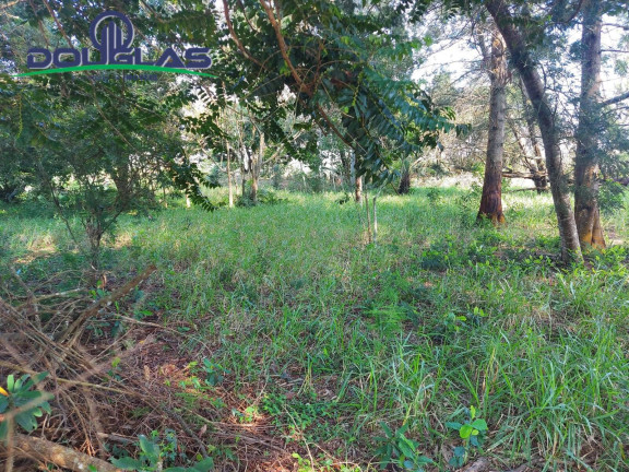Imagem Terreno à Venda, 700 m² em Viamão Imagem Terreno à Venda, 700 m² em Viamão