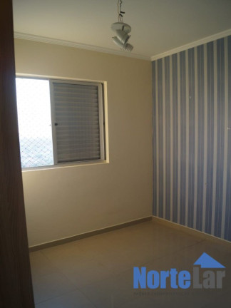 Imagem Apartamento com 2 Quartos à Venda, 54 m² em Vila Pereira Barreto - São Paulo Imagem Apartamento com 2 Quartos à Venda, 54 m² em Vila Pereira Barreto - São Paulo