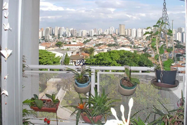 Imagem Apartamento com 2 Quartos à Venda, 55 m² em Lauzane Paulista - Sao Paulo Imagem Apartamento com 2 Quartos à Venda, 55 m² em Lauzane Paulista - Sao Paulo