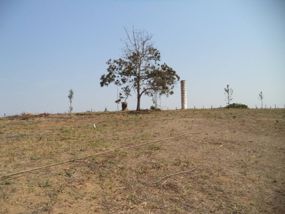 Imagem Chácara com 4 Quartos à Venda, 63.000 m² em Douradinho - Piedade