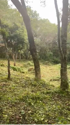 Imagem Terreno à Venda, 2 m² em Governador Celso Ramos Imagem Terreno à Venda, 2 m² em Governador Celso Ramos