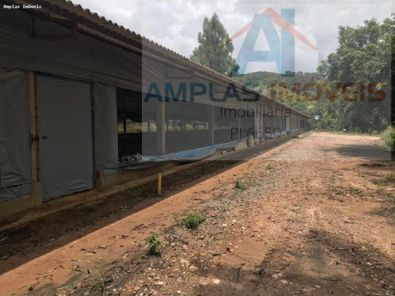 Imagem Fazenda à Venda, 60 m² em Azurita - Mateus Leme Imagem Fazenda à Venda, 60 m² em Azurita - Mateus Leme