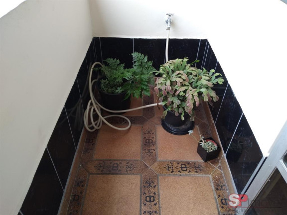 Imagem Apartamento com 3 Quartos à Venda, 101 m² em Santa Maria - São Caetano Do Sul Imagem Apartamento com 3 Quartos à Venda, 101 m² em Santa Maria - São Caetano Do Sul