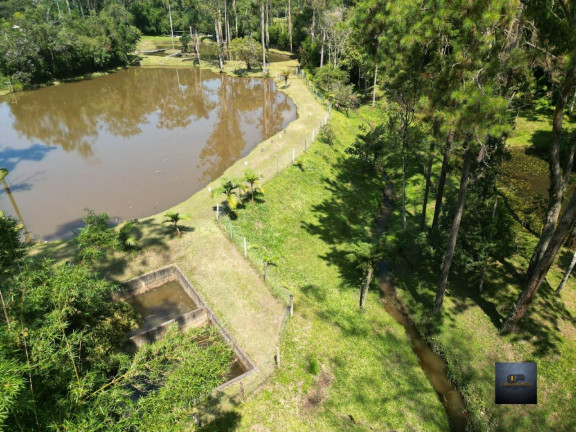 Imagem Imóvel com 3 Quartos à Venda, 2.000 m² em Dos Borges - Embuguaçu